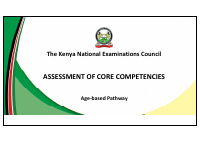 Assessment of core competencies-Age-Based-1.pdf